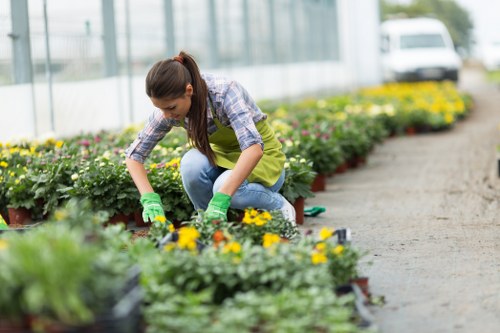 Professional lawn mowing service in Sutton