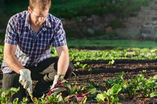 Gardener reviewing a garden path and plants