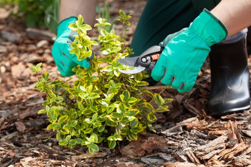 Community garden receiving reused soil and salvaged materials